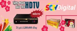 SCTV Hà Nội - Lắp đặt truyền hình cáp và internet tại Hà Nội